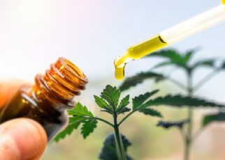 CBD: What You Need to Know Before You Try